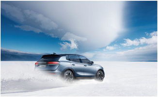 天際汽車ceo張海亮 我和德國人吵架 吵出了 極致的產(chǎn)品和服務(wù)