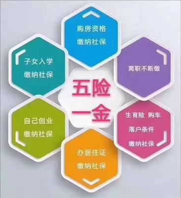 專業(yè)清洗與保潔服務(wù) 提升公共服務(wù)與專業(yè)機構(gòu)的環(huán)境品質(zhì)
