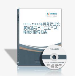 2015-2020年中國勞務(wù)行業(yè)企業(yè)投資策略及風(fēng)險研究