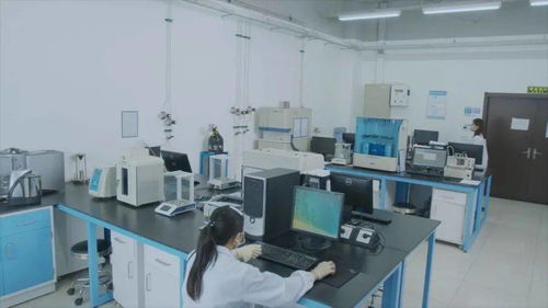 有研集團國家動力電池質檢中心 以專業定制化服務創新驅動北京技術服務業升級